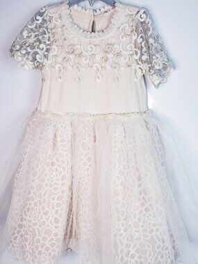 Mae Li Rose Embroidered Floral Lace Dress Size 8